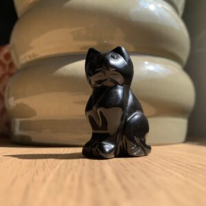 Gato de Obsidiana Negra